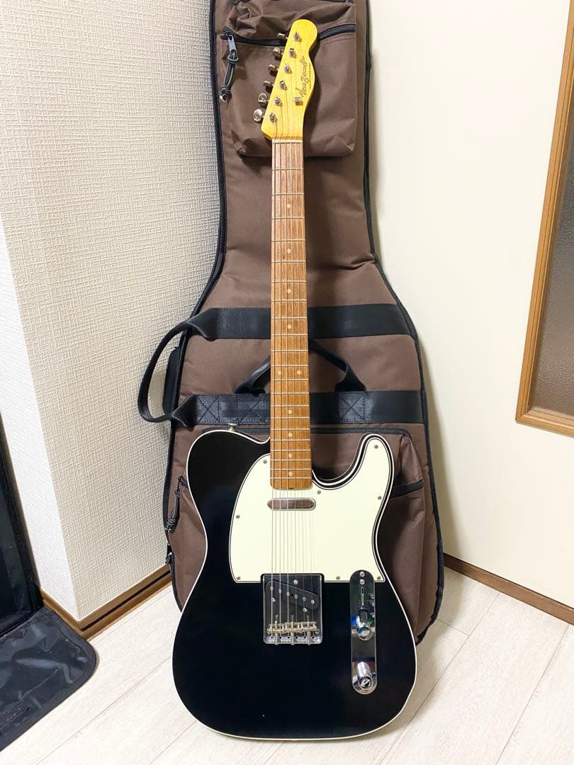 VanZandt TLV-R2 BLACK テレキャスター ソフトケース付き