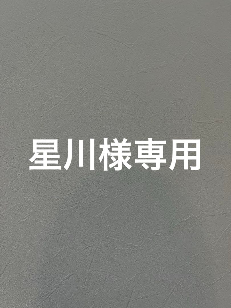 星川様 リクエスト 2点 まとめ商品