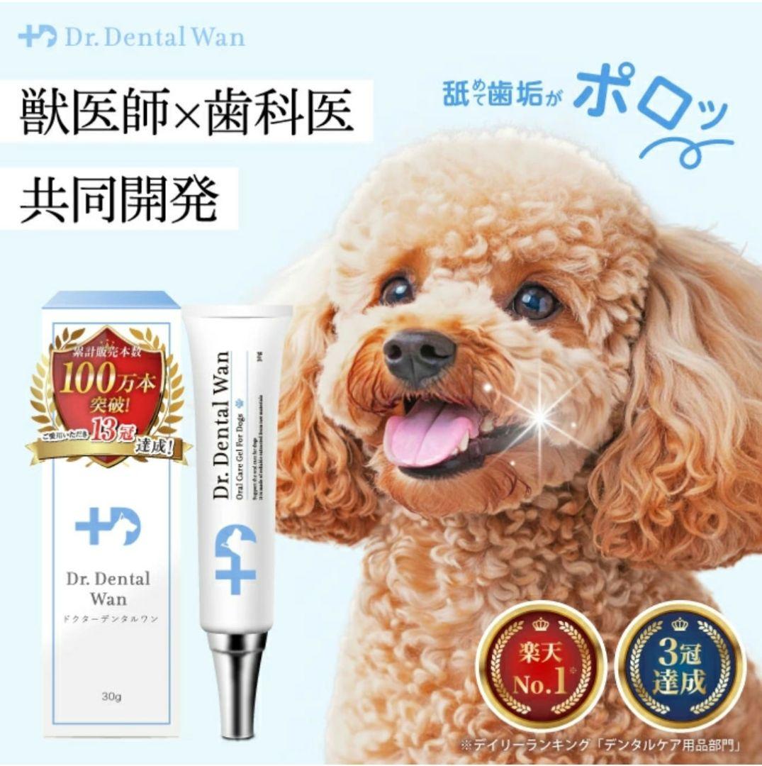 ドクターデンタルワン ビーフ味 30g×7本セット