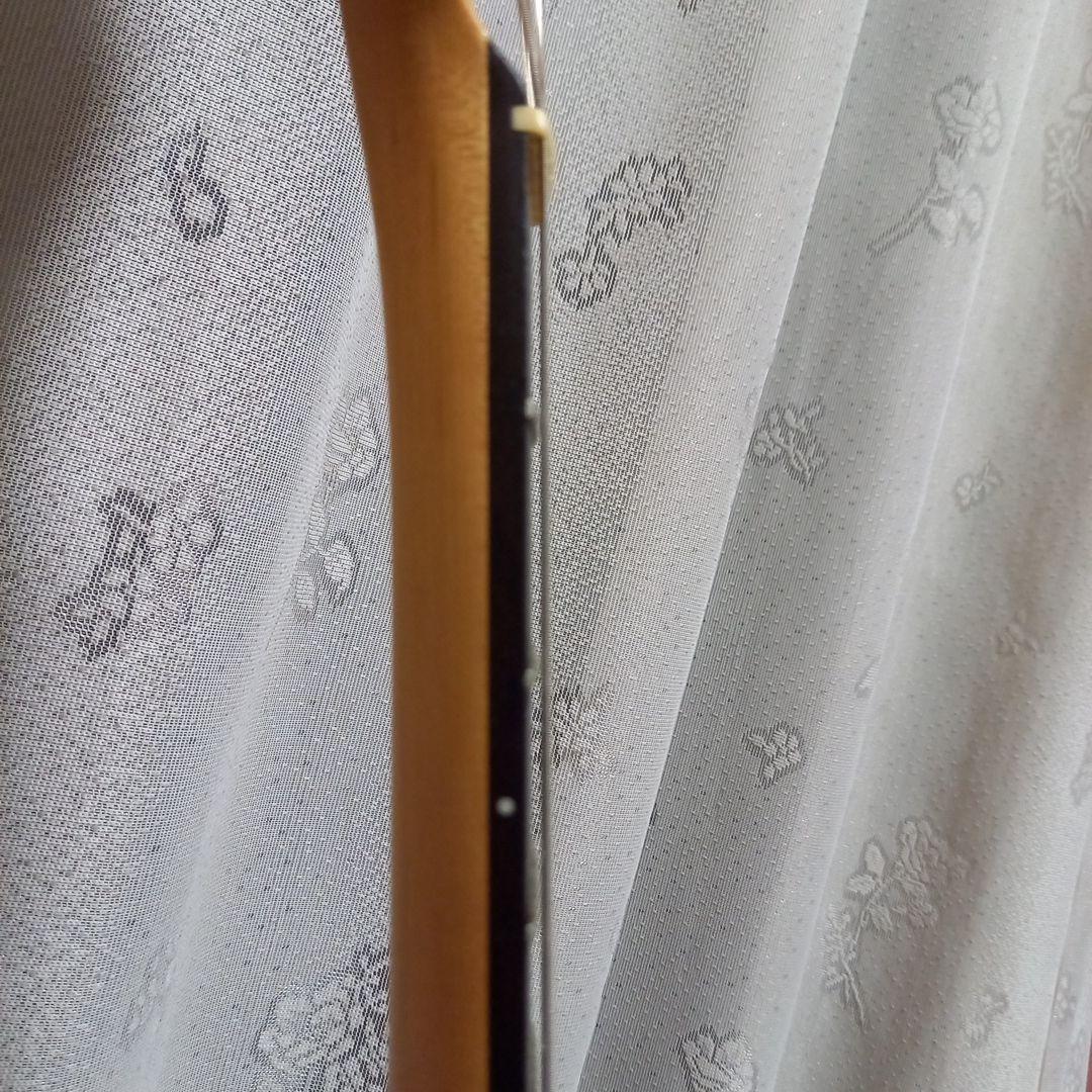 Bacchus Universe Series テレキャスタータイプ