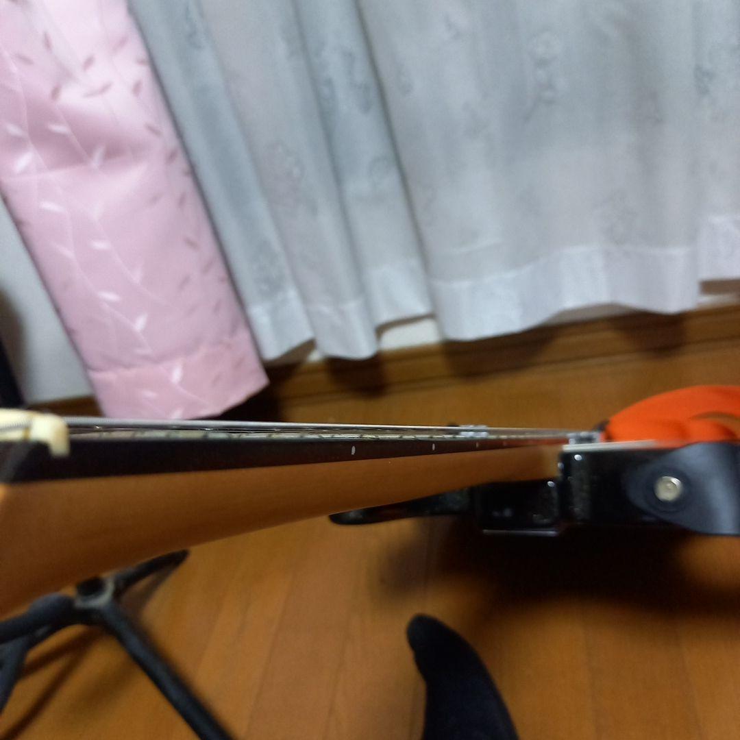 Bacchus Universe Series テレキャスタータイプ