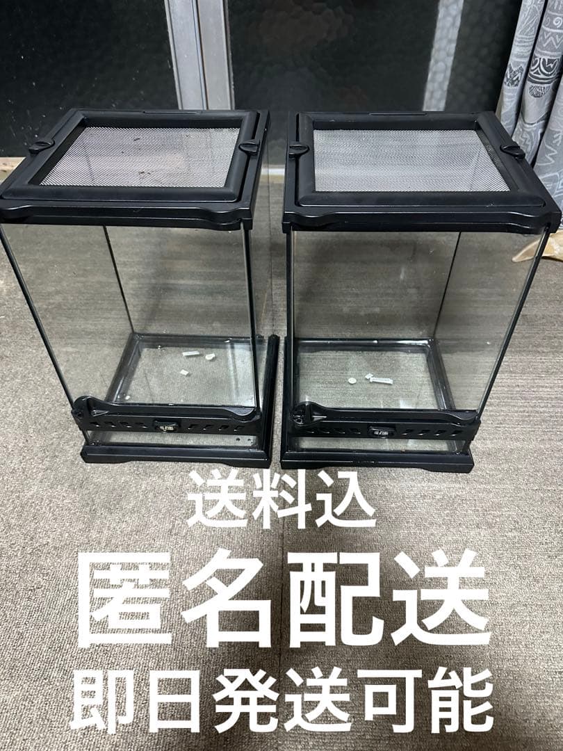 エキゾテラ　グラステラリウム2個セット　値下不可