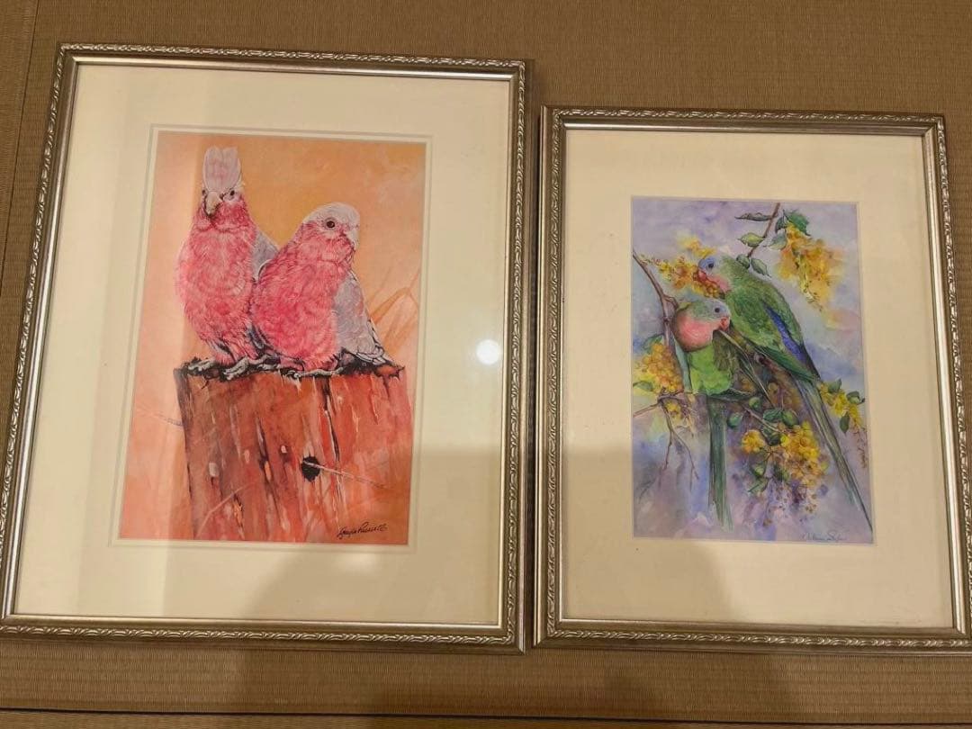 モモイロインコ、テンニョインコの絵画セット