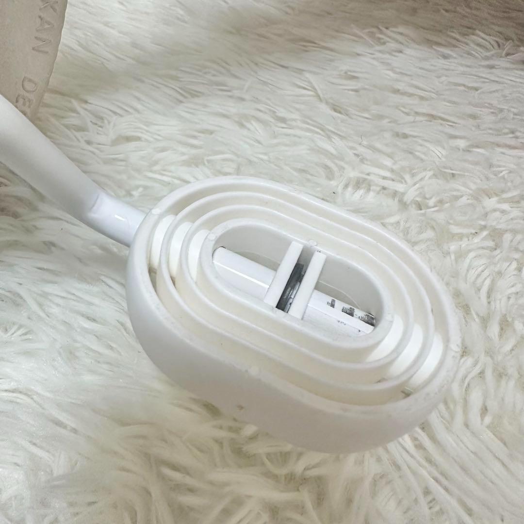 希少 Bornelund Winther ペリカンデザイン 三輪車 荷台付き