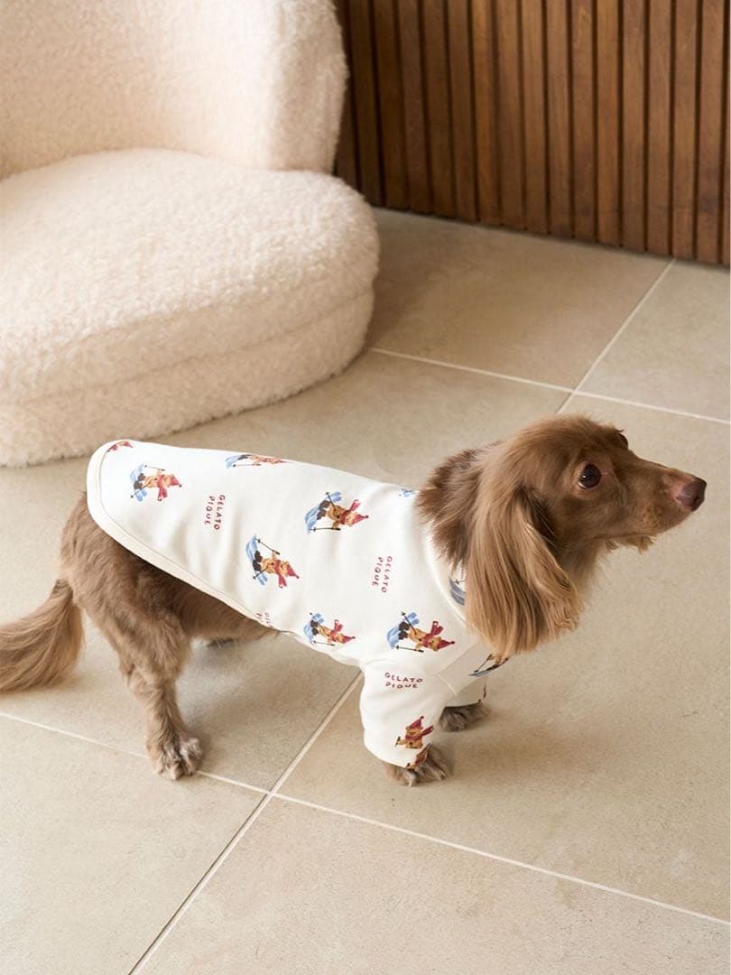 新品タグ付★ジェラートピケ 犬用服 スキーベア柄カットソー Sサイズ