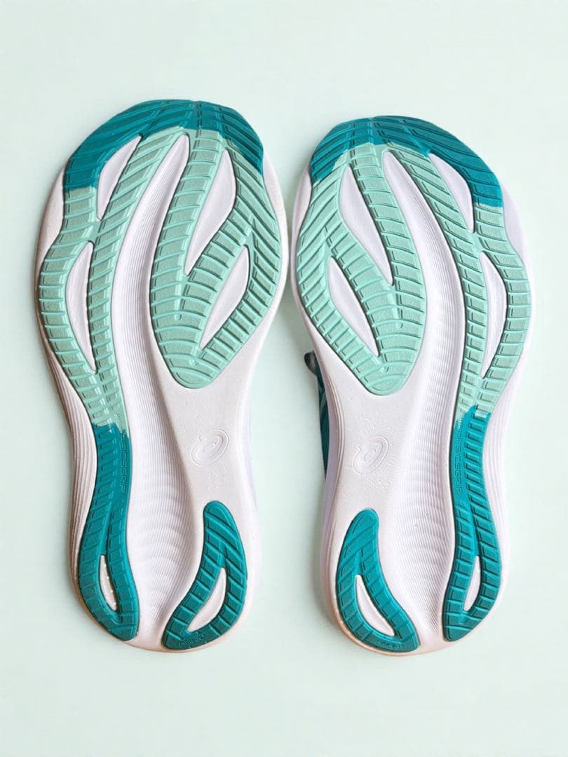 【極美品】ASICS ゲルニンバス27 GEL-NIMBUS 25cm ⚠️状態良