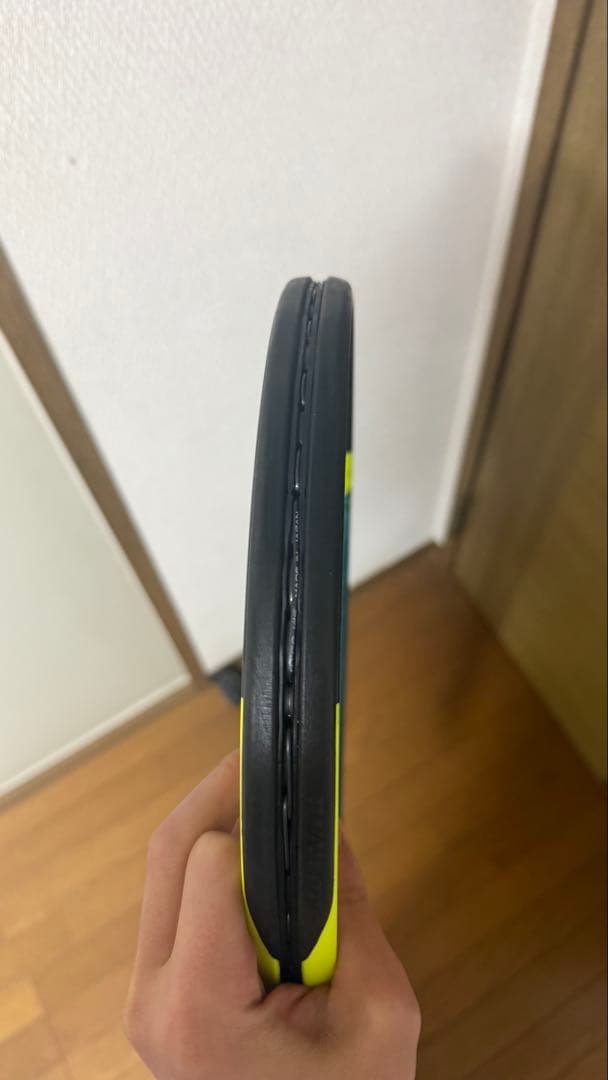 ダンロップsx300