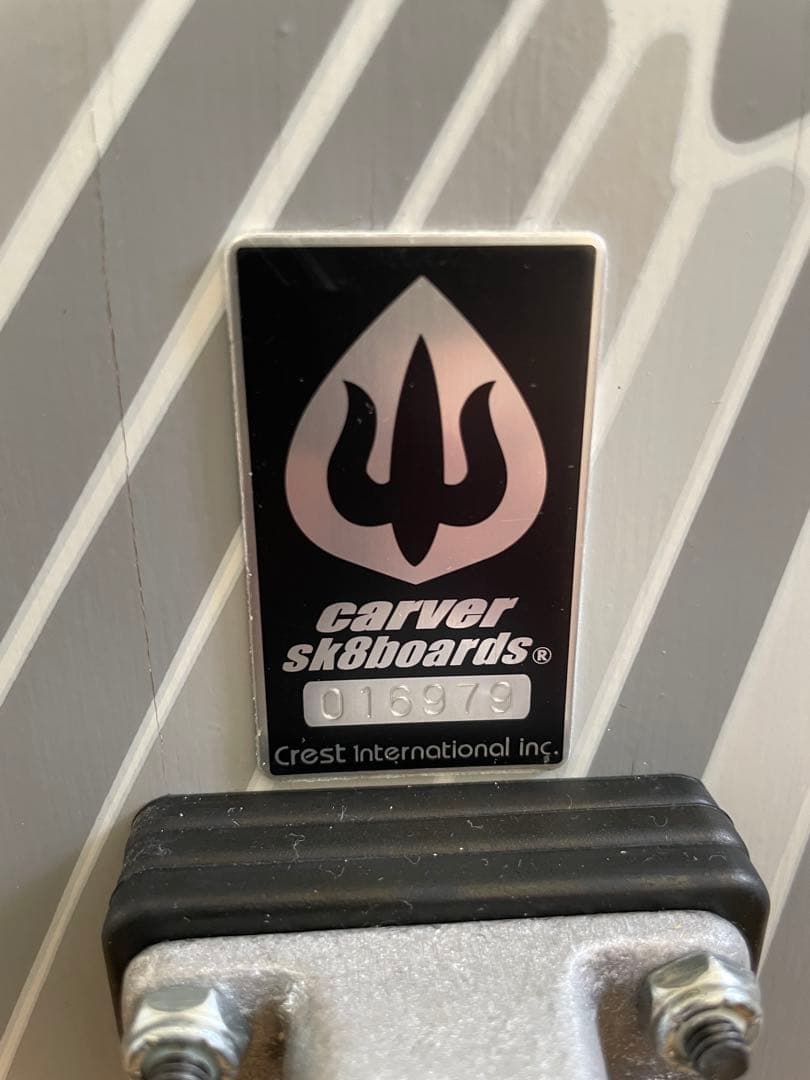【未使用品】CARVER スケートボード、ケース、プロテクターセット