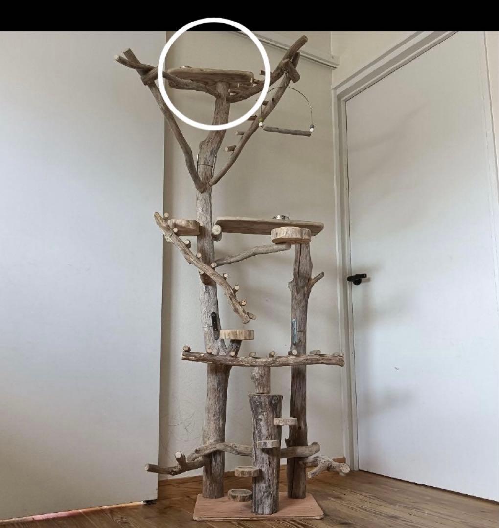 確認用画像です