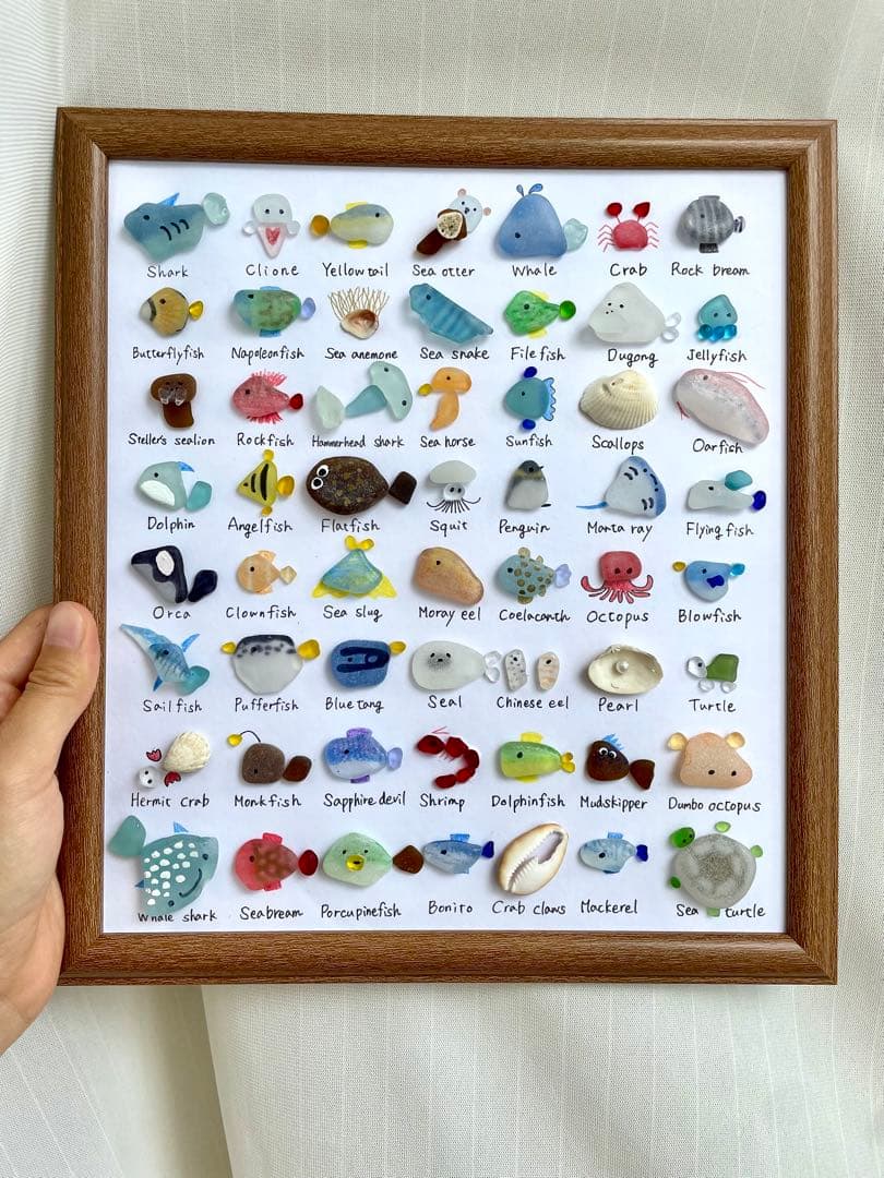 56種類！海の生き物大図鑑！シーグラスアート⭐︎ギフト　プレゼント インテリア