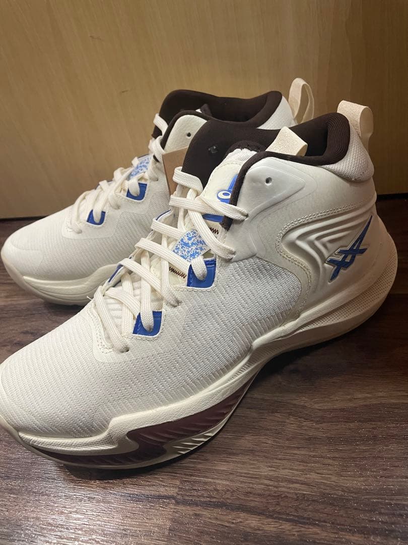 シューズ(男性用) NOVA SURGE 3 27.5cm