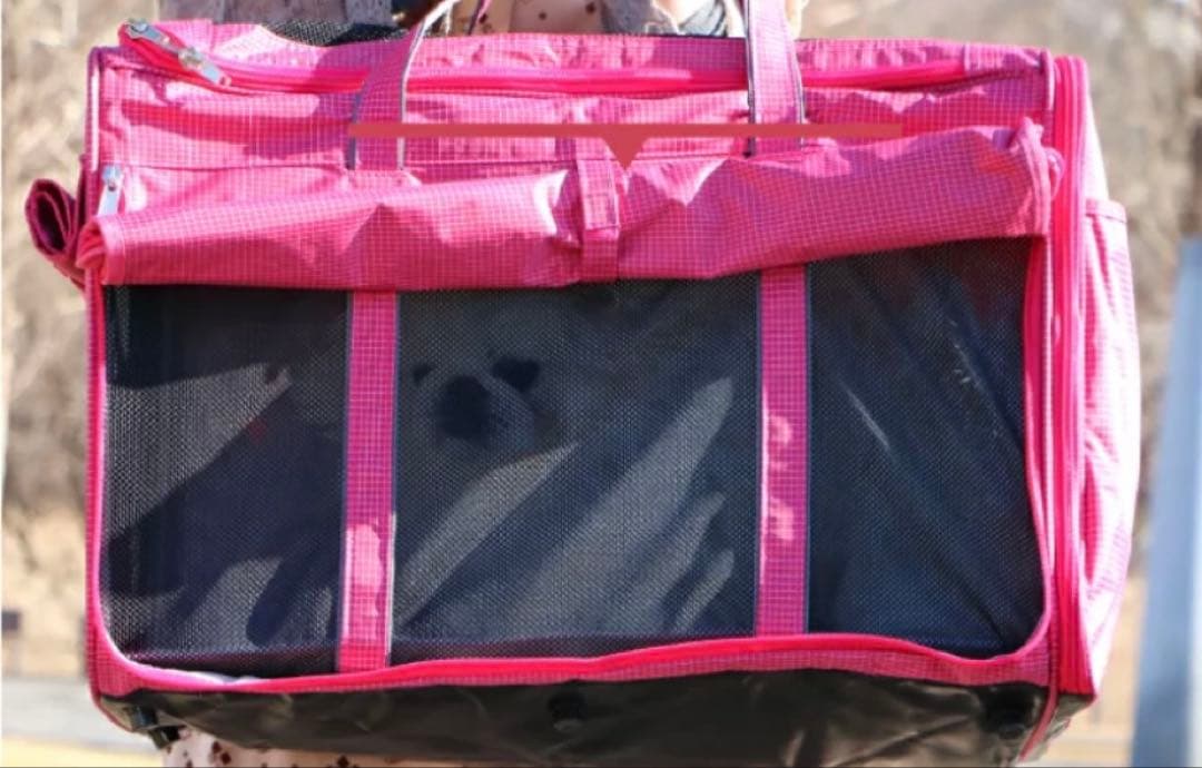 ３面メッシュ窓付トラベルキャリーハッピーライト ポンポリース　3L