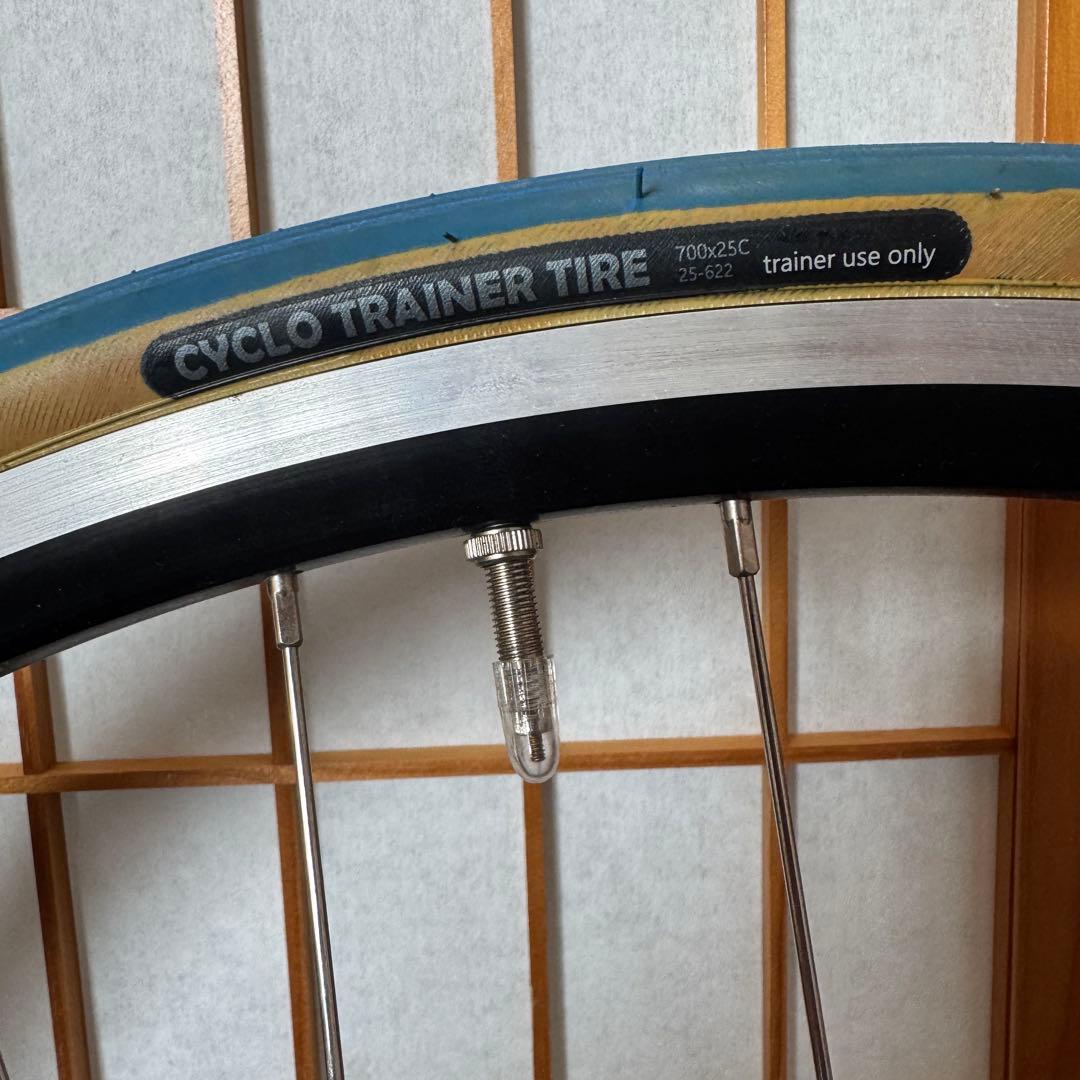 GIANT CYCLOTRON FLUID ST フルード式 サイクルトレーナー