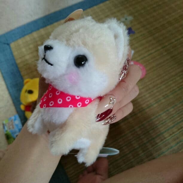 ぬいぐるみ(*^^*)