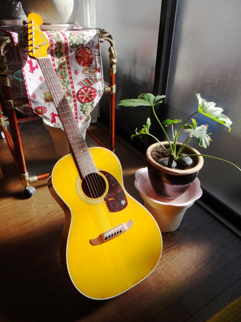 Fender CATALINA アコースティックギター 花子