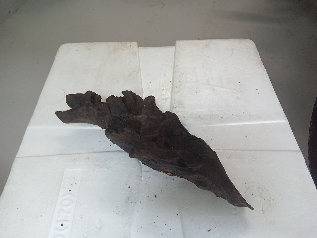 流木　詰め合わせ