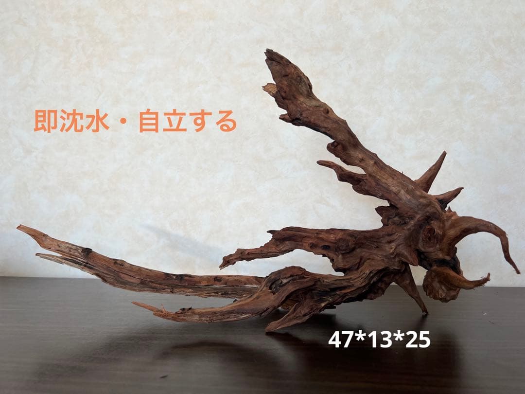 HX-013 流木　ホーンウッド　マシンガンウッド　アクアリウム　ブランチウッド