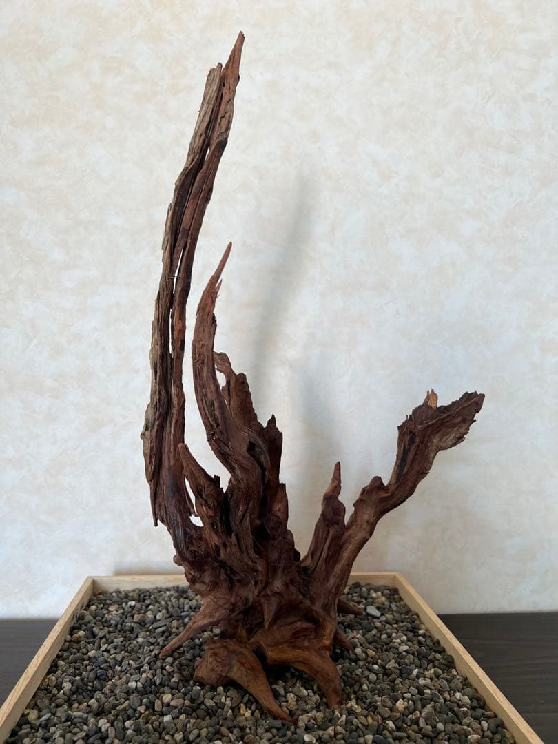 HX-013 流木　ホーンウッド　マシンガンウッド　アクアリウム　ブランチウッド