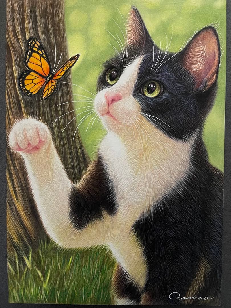 色鉛筆画 A4 ハチワレ猫131