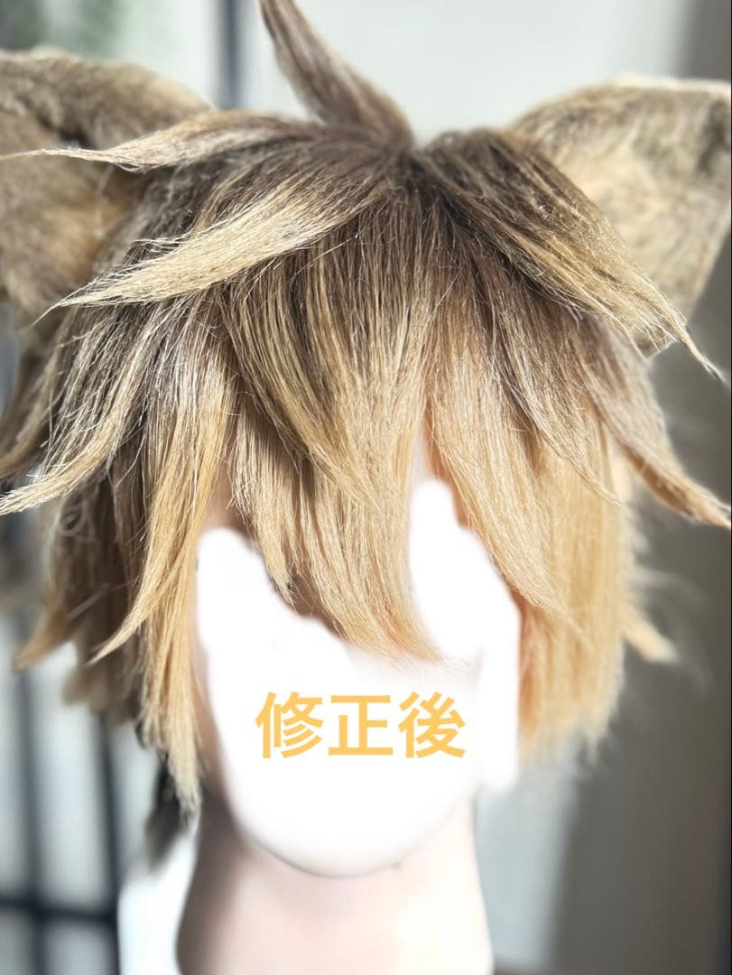 専用購入ページ✩.*˚