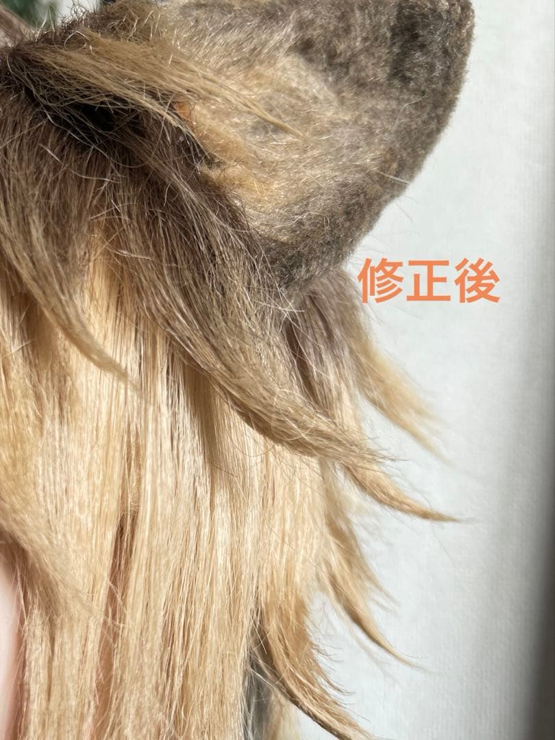 専用購入ページ✩.*˚