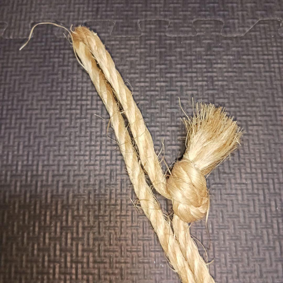 荒井修　木彫り　イカ