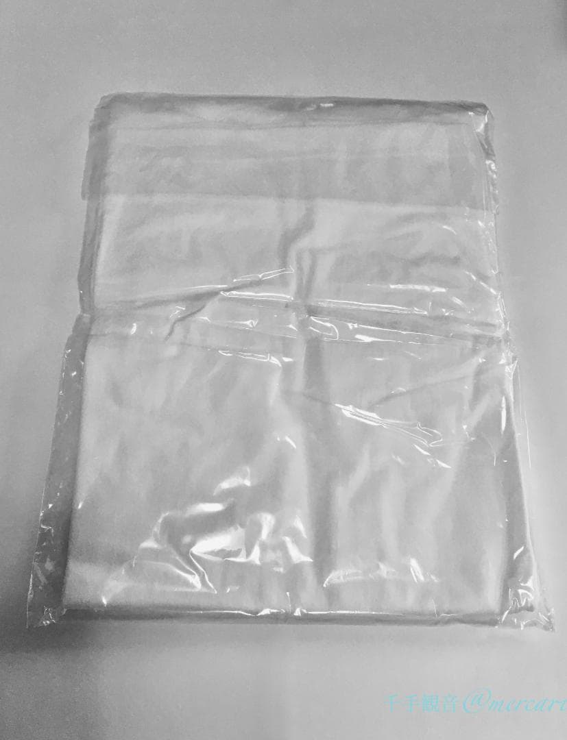 新品 S ★ エレファントカシマシ 風と共に 野音限定 Tシャツ 2017年