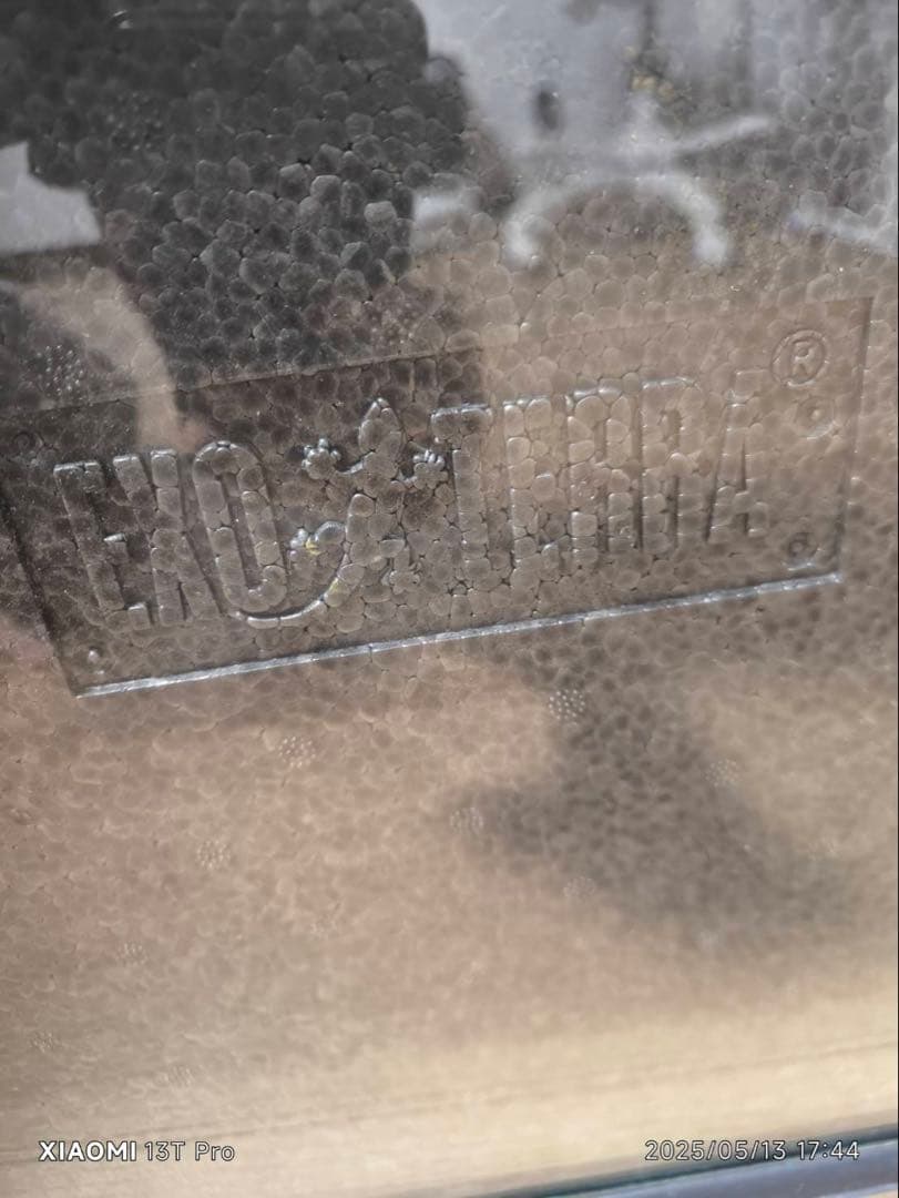 グラステラリウム6045