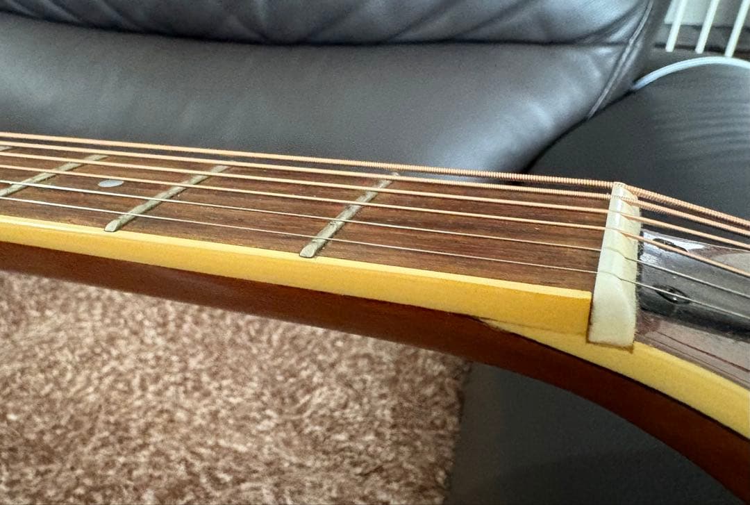 J*n様 Yamaha APX700 NT エレアコ(ハードケース付)