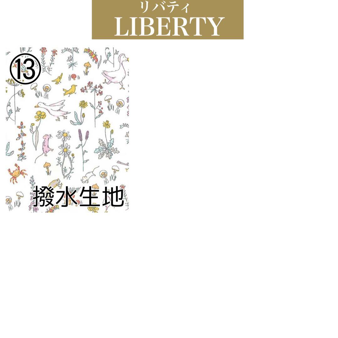 ピコタンPM アマソナ28 バッグインバッグ　リバティ