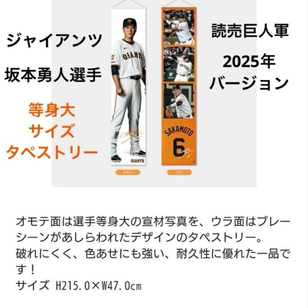 巨人 読売 ジャイアンツ 坂本勇人選 等身大サイズタペストリー ファンクラブ限定