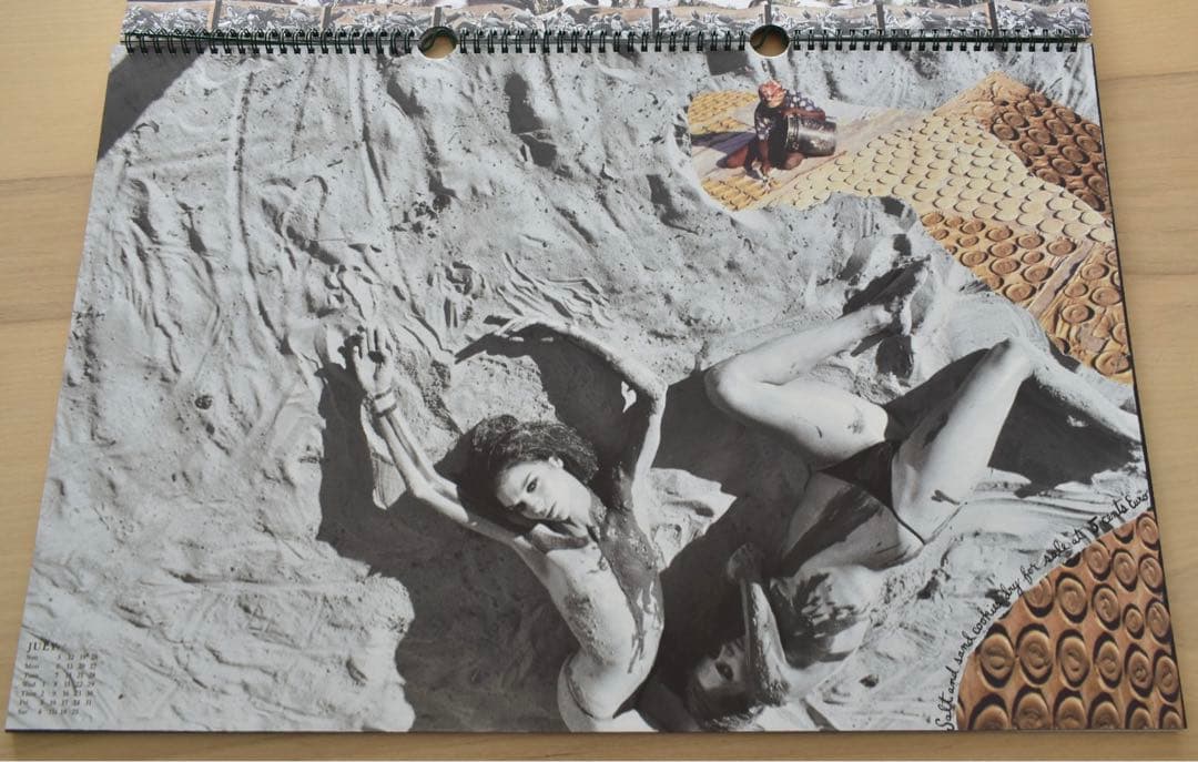 Peter Beard カレンダーPirelli 2009