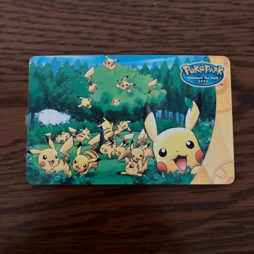 ピカチュウ　パスケース & edyカード