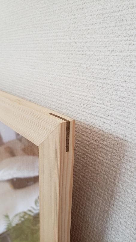 九ちゃん　色紙２枚をお飾りいただく額　2個分