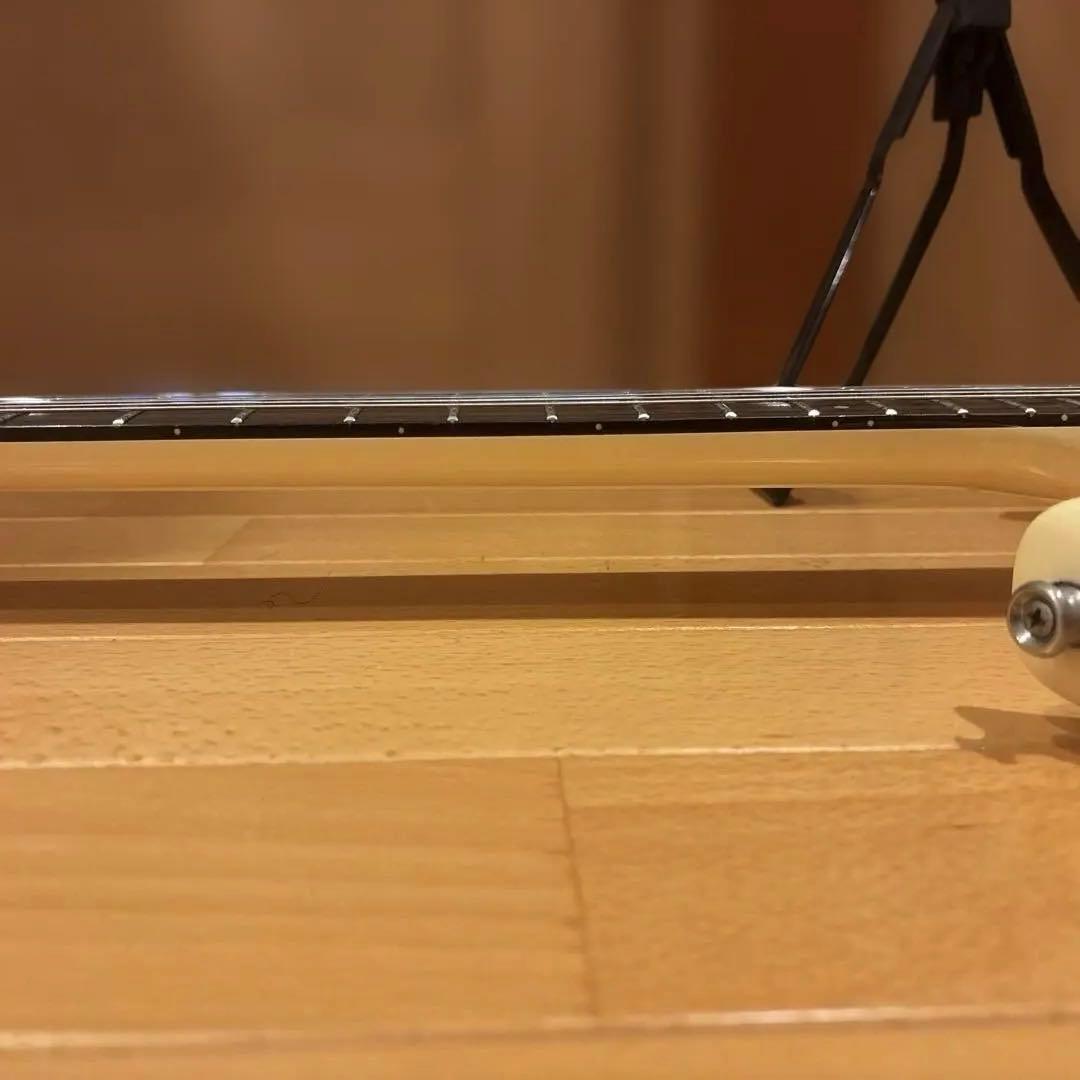 【Kenさん専用】Aria Pro II RS Wildcat アーム付 新品弦