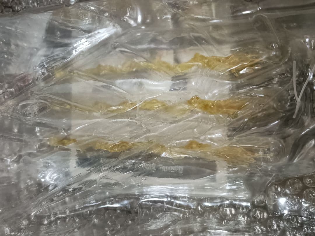 Hiya Toys キングギドラ2019 ゴールドver