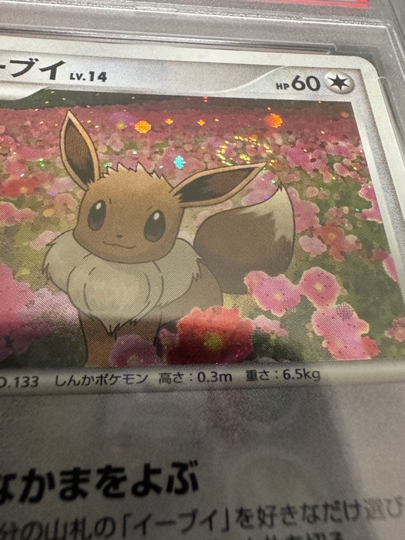 イーブイ Eevee PSA10 とりかえっこ　限定プロモ