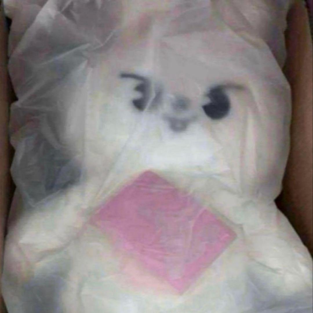 leebit テディベアSKZOO PLUSH TEDDYBEAR Ver.