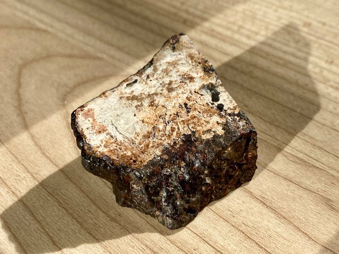 CVred3 炭素質 隕石 31.4g NWA12590 メテオライト 標本