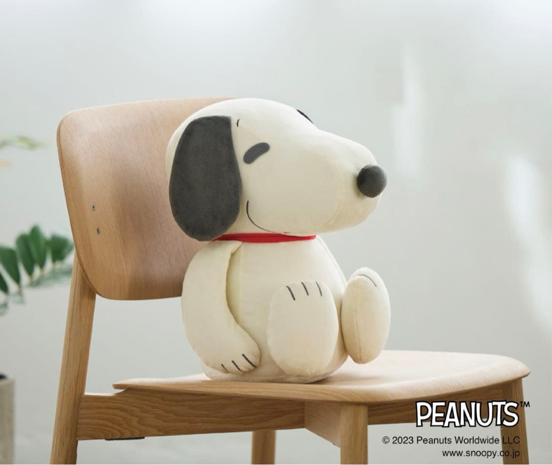 ⭐️新品未使用MIZUNO⭐️コラボ スヌーピー メディシンボール 2kg