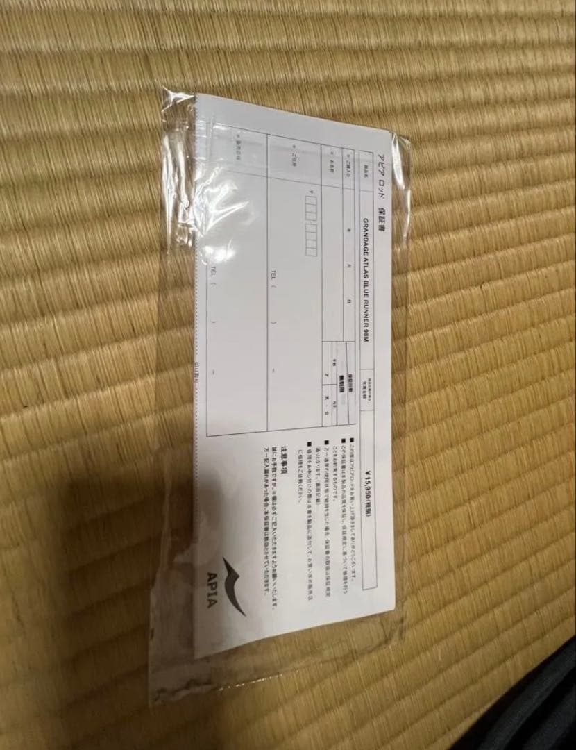 グランデージアトラスブルーランナー98M APIA アピア