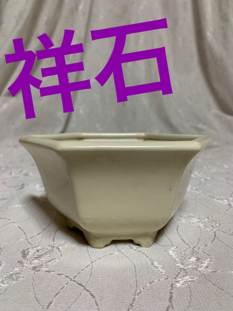 祥石　六角　白　盆栽鉢
