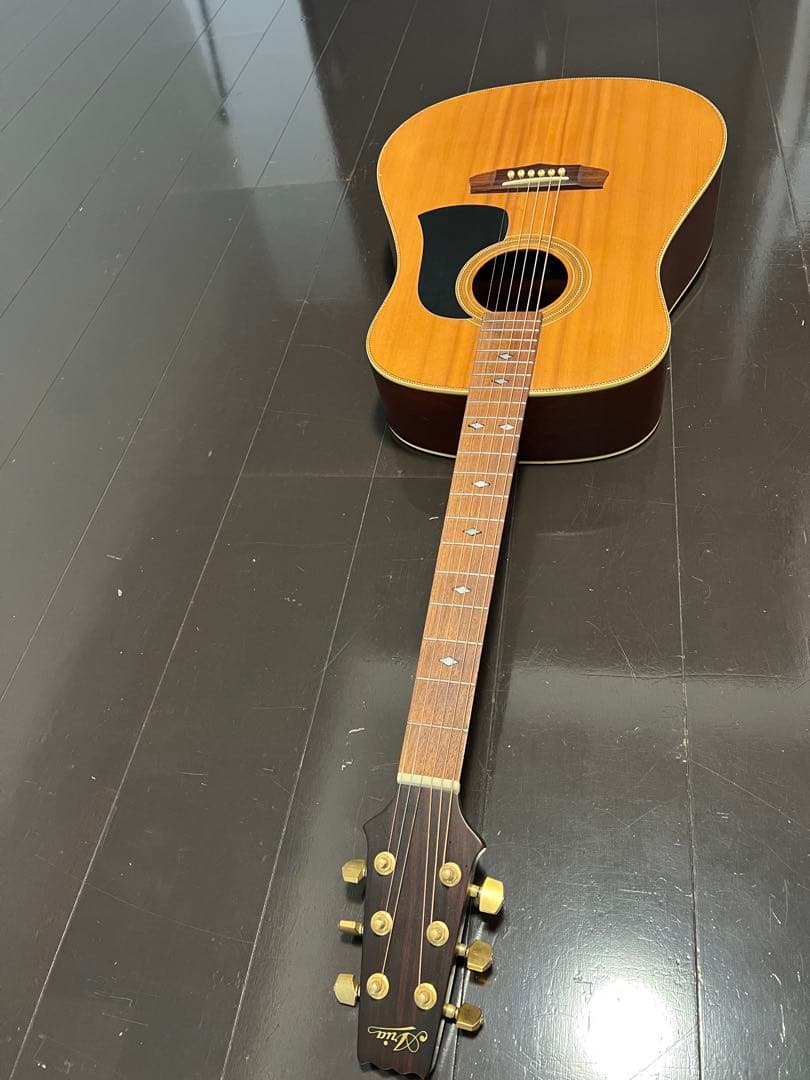 アコースティックギター　ARIA