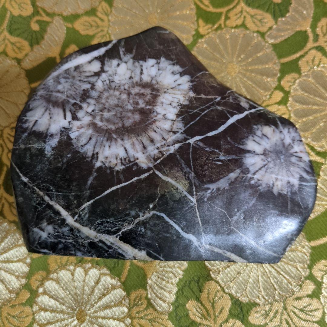 【最終価格】特別天然記念物 岐阜県根尾谷 菊花石