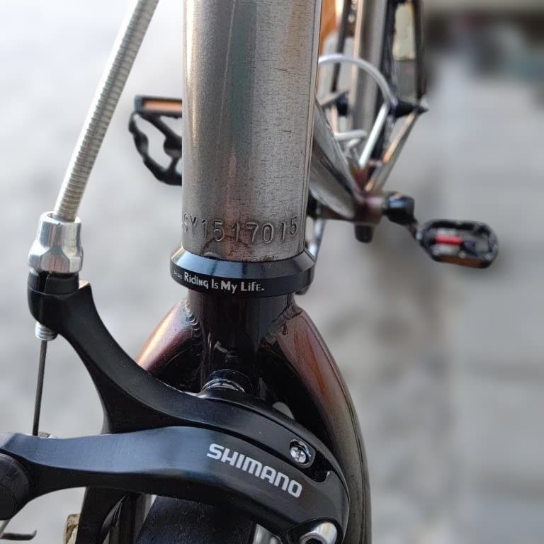 ☆中古特価品☆ 再塗装 シングルスピード仕様　稀少 逆爪