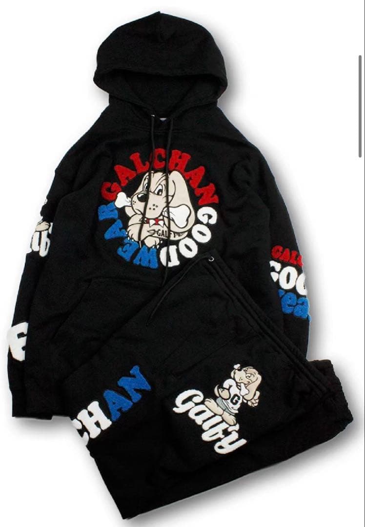 GALFY （ガルフィー）二代目わんわん大学 SETUP-BLACK 中型犬