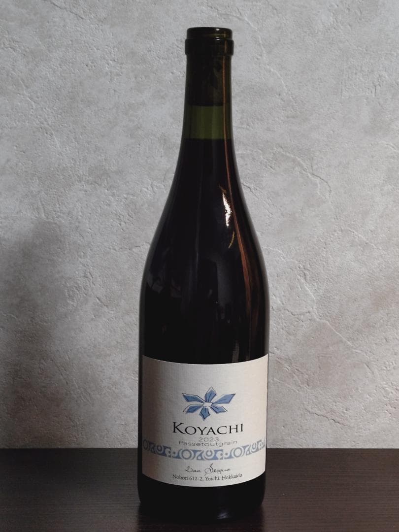 2023 KOYACHI パストゥグラン