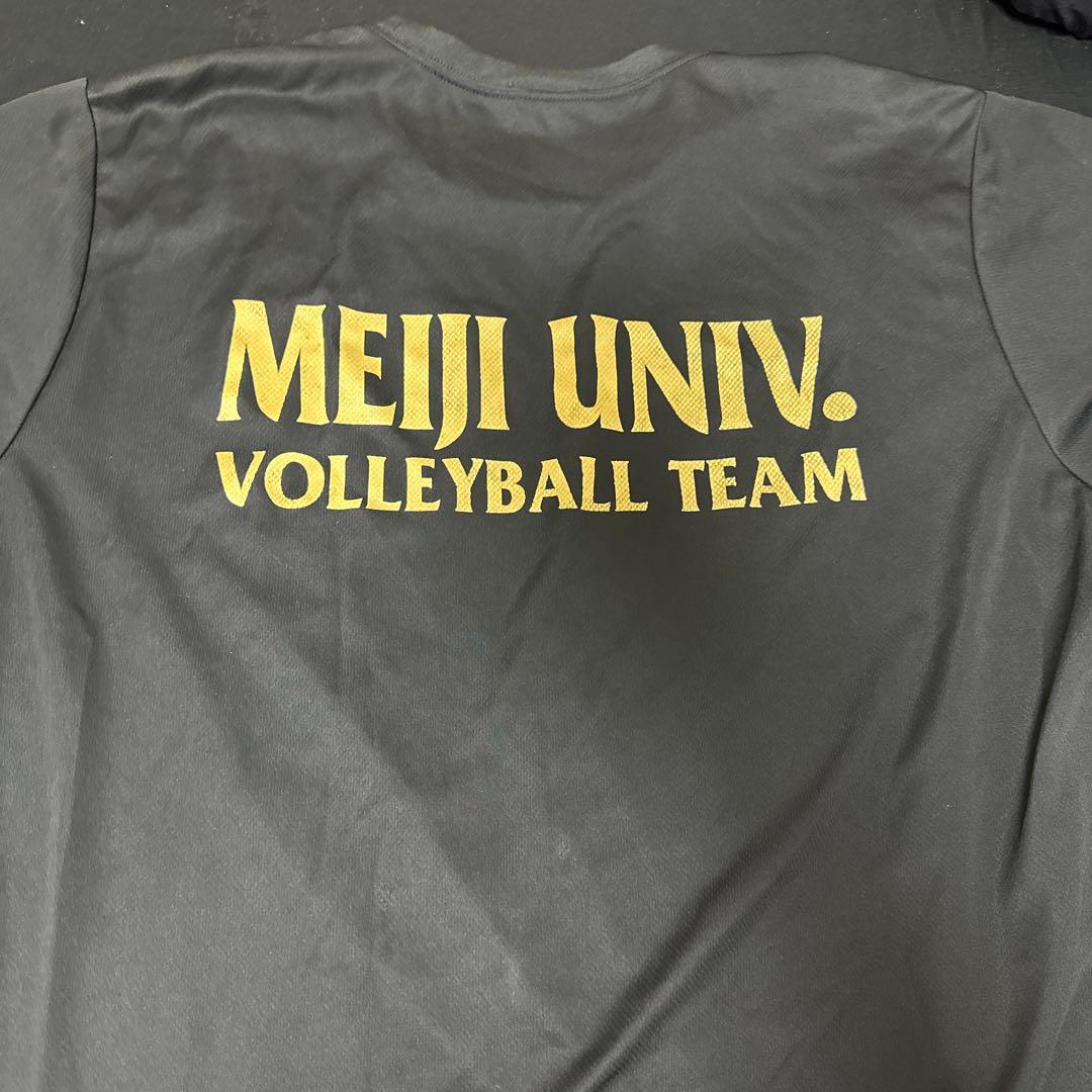 明治大学 バレーボールチーム Tシャツ