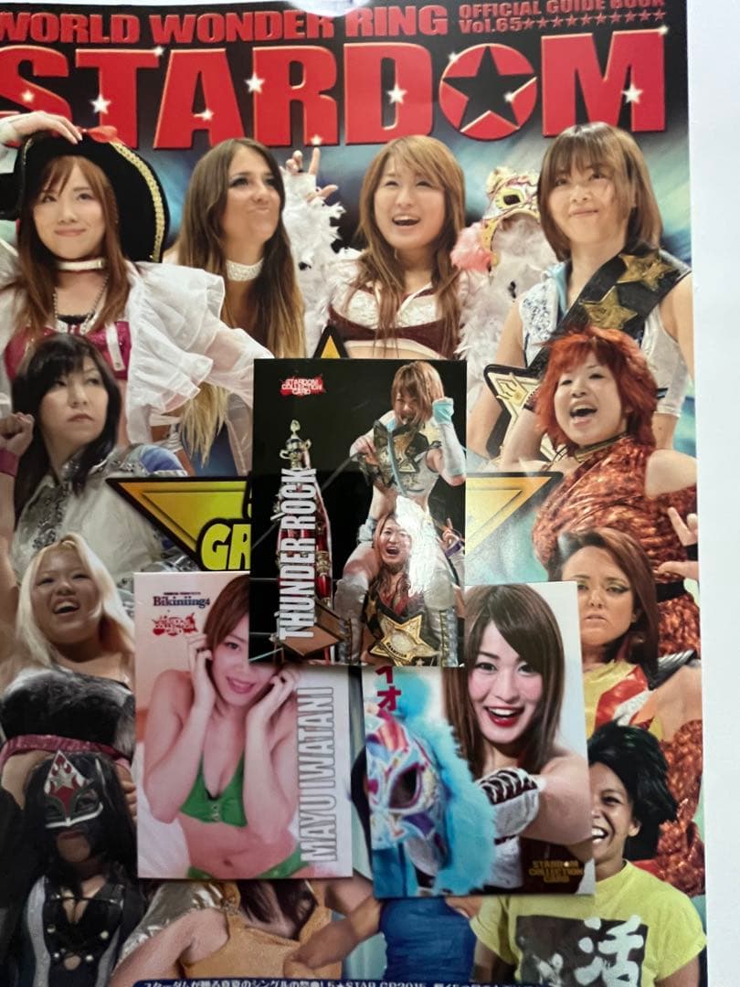 スターダム観戦ガイドブック 紫雷イオ、岩谷麻優、サンダーロックカード付き
