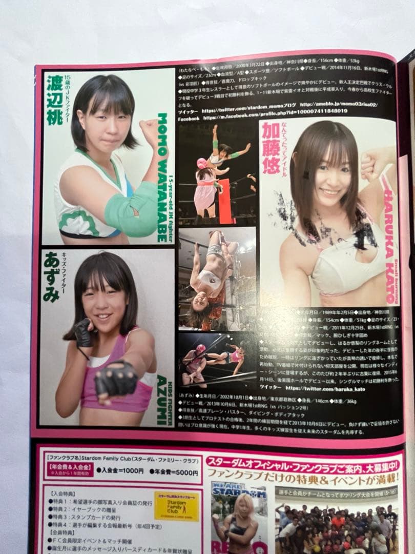 スターダム観戦ガイドブック 紫雷イオ、岩谷麻優、サンダーロックカード付き